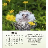 Stimmungsbild zu Meine kleinen Freunde 2026 - Tischkalender