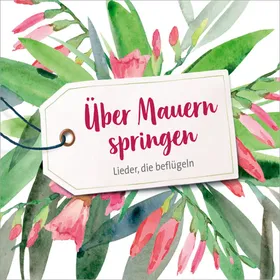 Produktbild des Artikels Über Mauern springen (Audio - CD)