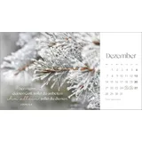 Stimmungsbild zu Augenblicke der Anbetung 2026 - Postkartenkalender