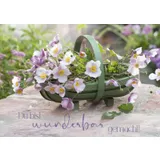 Stimmungsbild zu Postkartenbox "Wir feiern im Garten"