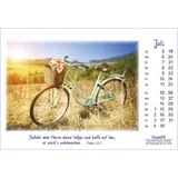 Stimmungsbild zu Die Freude geht mit uns 2026 - Aufstellkalender