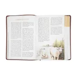 Stimmungsbild zu Andachten für die ganze Familie