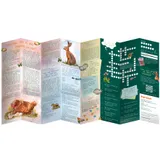 Stimmungsbild zu Ach du buntes Osterei! - Flyer