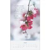 Stimmungsbild zu Zarte Blumengrüße 2026 - Posterkalender