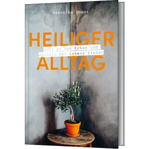 Produktbild des Artikels Heiliger Alltag (Buch - Gebunden)