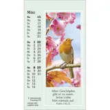 Stimmungsbild zu Sonne des Lebens 2026 - Aufstellkalender