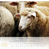 Stimmungsbild zu Psalm 23 - Wandkalender 2026