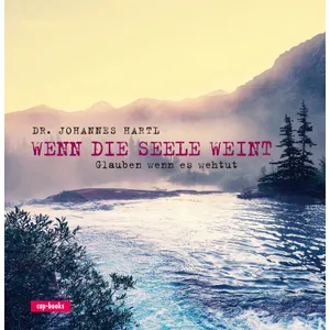 Produktbild des Artikels Wenn die Seele weint (Buch - Gebunden)