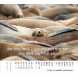 Stimmungsbild zu Begegnungen 2026 - Minikalender