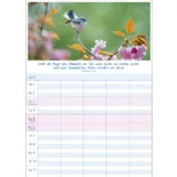 Stimmungsbild zu Multiplaner 2026