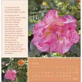 Stimmungsbild zu Rosenduft mit guten Wünschen 2026 - Wandkalender