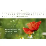 Stimmungsbild zu Das Geschenk der Freude 2026