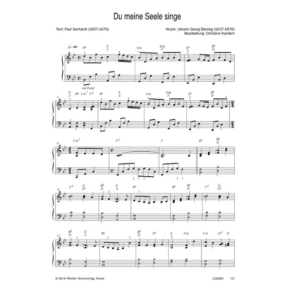 Produktbild des Artikels Du meine Seele singe (Noten - Download)
