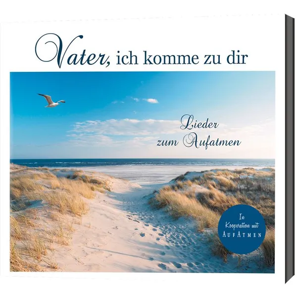 Produktbild des Artikels Vater, ich komme zu dir (Audio - CD)