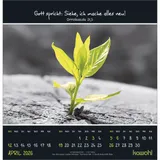 Stimmungsbild zu Kleine Wunder entdecken 2026 - Wandkalender