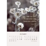 Stimmungsbild zu Zarte Blumengrüße 2026 - Tischkalender