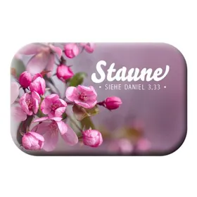 Produktbild des Artikels Magnet - Staune (Schreibwaren)