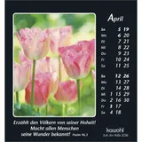 Stimmungsbild zu Zeit der Stille 2026 - Aufstellkalender