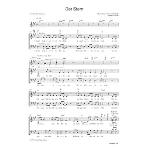 Produktbild des Artikels Der Stern (Noten - Download)