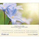 Stimmungsbild zu Kostbares für deine Seele 2026 - Postkartenkalender