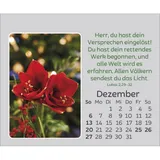 Stimmungsbild zu Freude für jeden Tag 2026 - Mini-Aufstellkalender