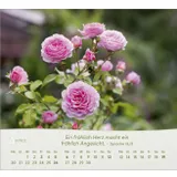 Stimmungsbild zu Rosen 2026 - Tischkalender
