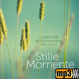Produktbild des Artikels Stille Momente (MP3-Album - Download)