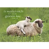 Stimmungsbild zu Postkartenbox "Psalm 23"