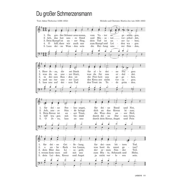 Produktbild des Artikels Du großer Schmerzensmann (Noten - Download)