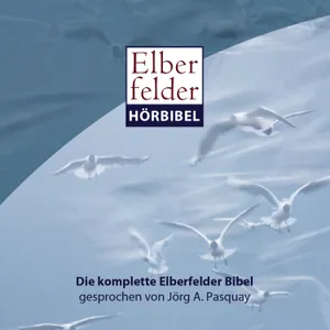 Produktbild des Artikels Elberfelder Hörbibel (MP3-Hörbuch - Download)