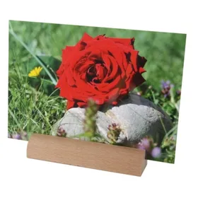 Produktbild des Artikels Kartenhalter Holzleiste ()