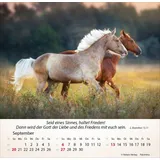 Stimmungsbild zu Pferde 2026 - Tischkalender