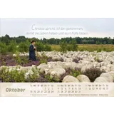 Stimmungsbild zu Der gute Hirte 2026 - Postkartenkalender