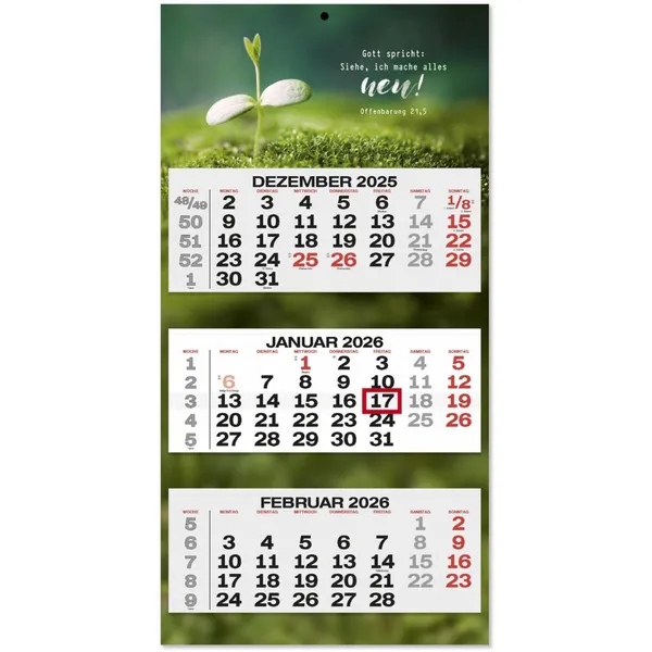 Produktbild des Artikels 3-Monatsplaner Jahreslosung 2026 (Kalender)