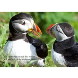 Stimmungsbild zu Im Herzen bleibt ein Klang - Postkartenset