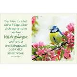 Stimmungsbild zu Blütenreiche Bibelverse - Karten