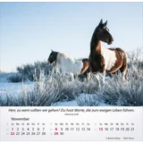Stimmungsbild zu Pferde 2026 - Tischkalender