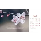 Stimmungsbild zu Augenblicke der Anbetung 2026 - Postkartenkalender