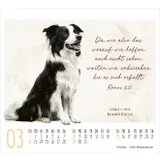 Stimmungsbild zu KunstWerke des Schöpfers 2026 - Minikalender