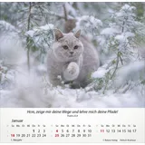 Stimmungsbild zu Katzen 2026 - Tischkalender