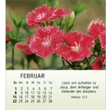 Stimmungsbild zu Ich wünsch dir Freude 2026 - Tischkalender