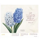 Stimmungsbild zu MeisterWerke des Schöpfers 2026 - Tischkalender