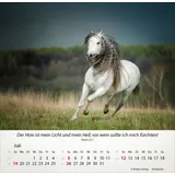 Stimmungsbild zu Pferde 2026 - Tischkalender