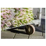 Stimmungsbild zu feste feiern – Postkartenbuch