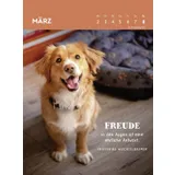 Stimmungsbild zu Hunde sind die besten Freunde 2026 - Wochenkalender
