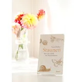 Stimmungsbild zu Staunen