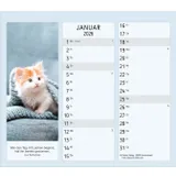 Stimmungsbild zu Vormerk-Kalender 2026 mit Sinnsprüchen