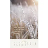 Stimmungsbild zu Zarte Blumengrüße 2026 - Posterkalender