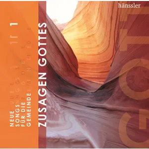 Produktbild des Artikels Jesus trägt dich (Noten - Download)