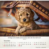 Stimmungsbild zu Hunde 2026 - Tischkalender